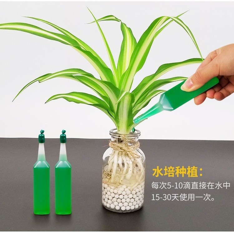 营养液植物通用型发财树加硬富贵竹花卉肥料