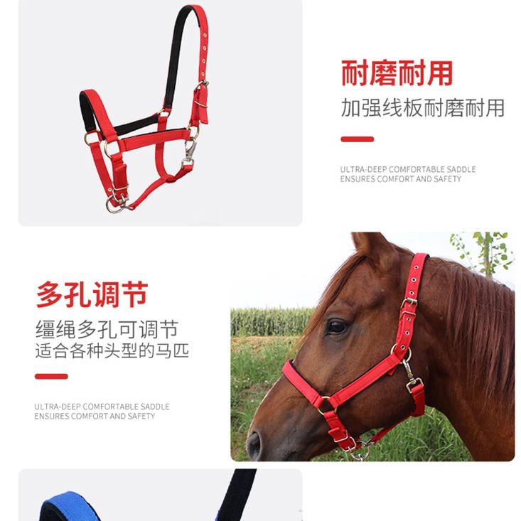 Horse Bridle Rope Equestrian Supplies Horse Bridle Set Size Dwarf Horse Faucet Harness Type Headgear Accessories Complete Set of Plates