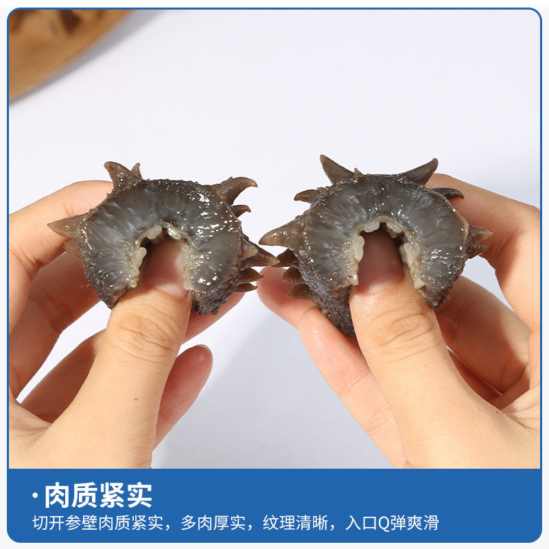 Sea Cucumber Factory in Dalian, Ready-To-Eat Wholesale, Liaoning Sea Cucumber, Not Dried Goods, Manufacturer, Seafood, One-Piece Dropshipping, Ag Cold Chain Direct Delivery