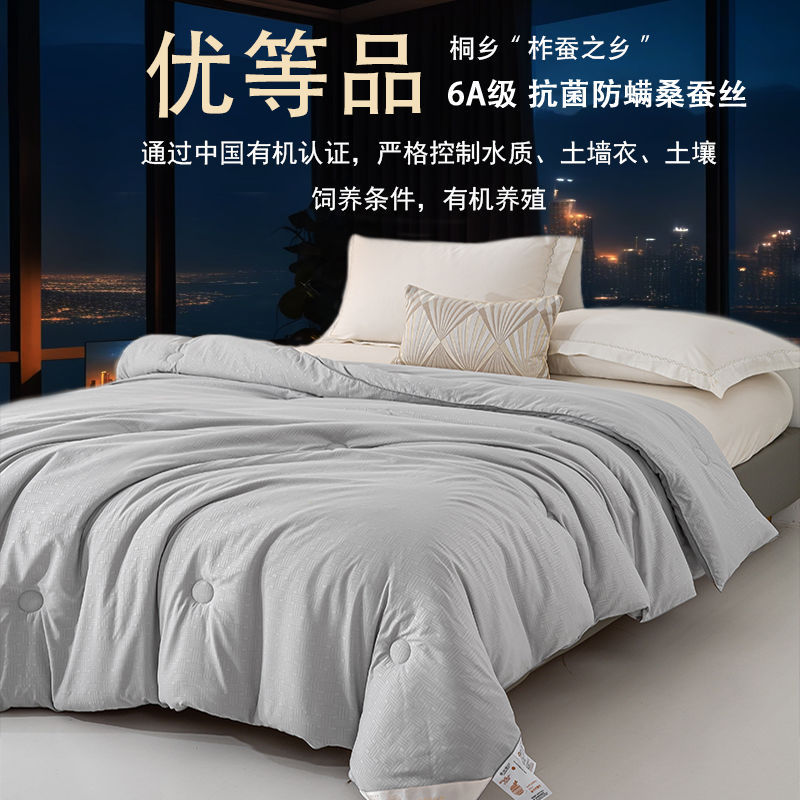 Premium Silk Quilt, Mulberry Silk Spring and Autumn Quilt Core, Thin Air-Conditioned Summer Cool Quilt, Winter Quilt, Thickened Warm Quilt