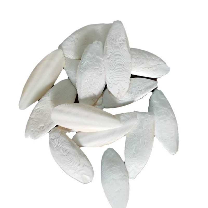 Parrot Cuttlefish Bone Raw Material Trimming Molars Tiger Skin Black Phoenix Peony Turtle Snack Chewing Toy Cuttlefish Bone