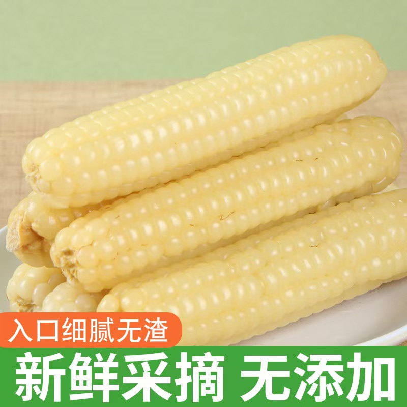 Four Seasons and Seasons Xishuangbanna Thumb Corn Fresh Soft Glutinous Low-Fat Meal Replacement Factory Wholesale Delivery