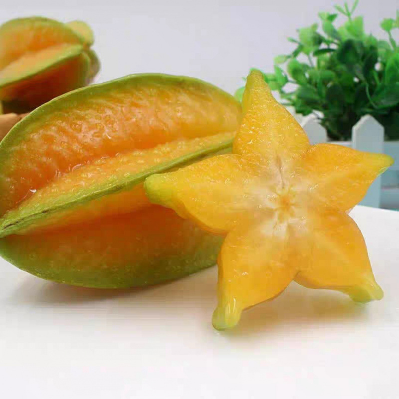 福建漳州杨桃新鲜采摘现发甜杨桃新鲜水果五斤包邮