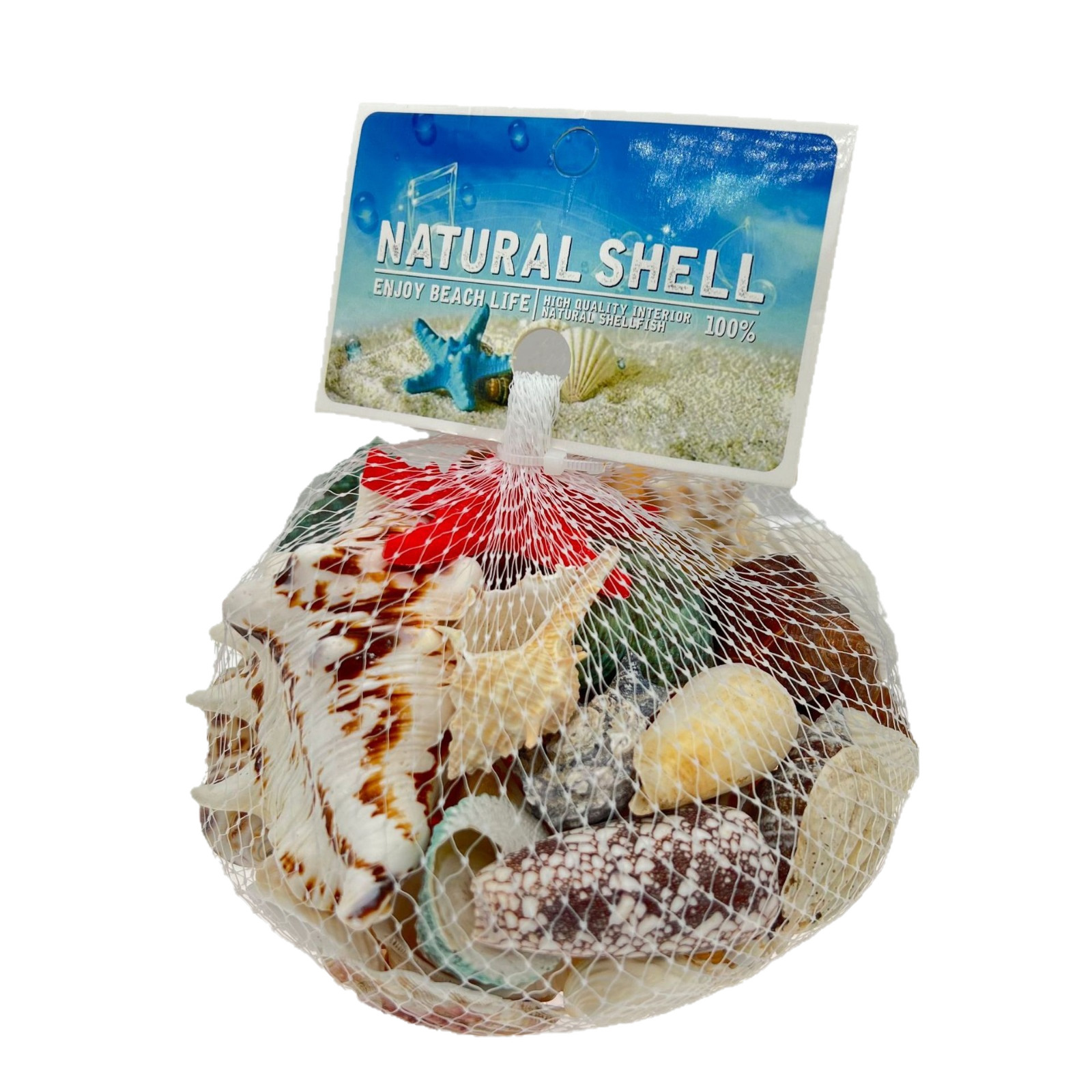 Study Natural Shell Conch Starfish Fish Tank Landscaping Decoration Shell Conch Wholesale Wind Chime DIY Crafts