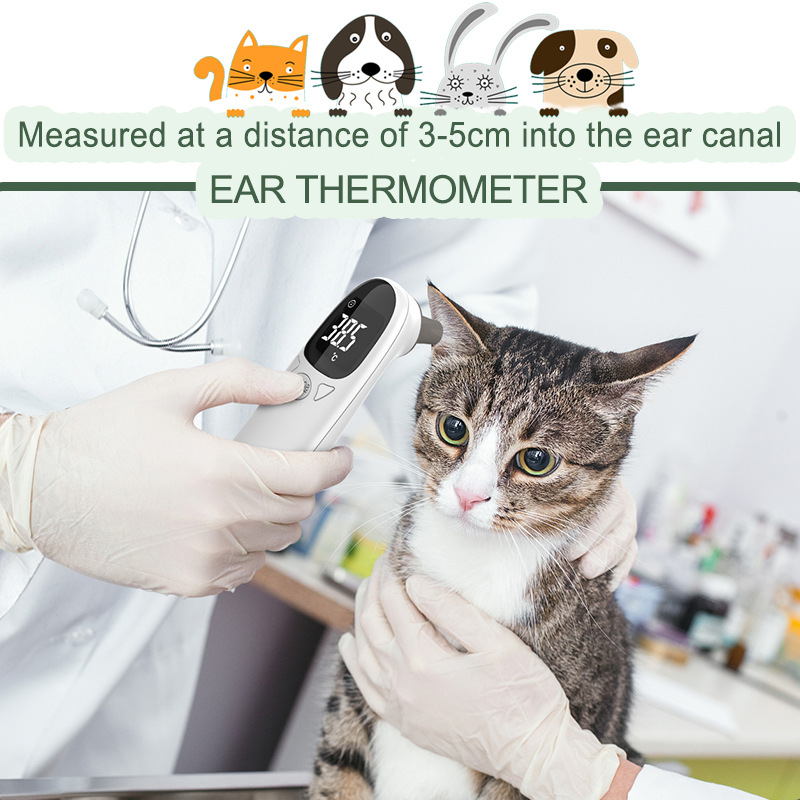 Pet Thermometer Thermometer Cat Thermometer Dog Thermometer Export