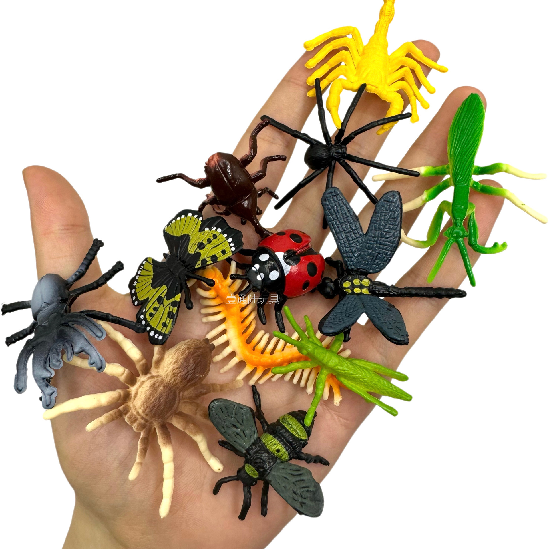 Foreign trade new simulation insect 12 PVC real insect model Scorpion spider butterfly sand table ornaments wholesale