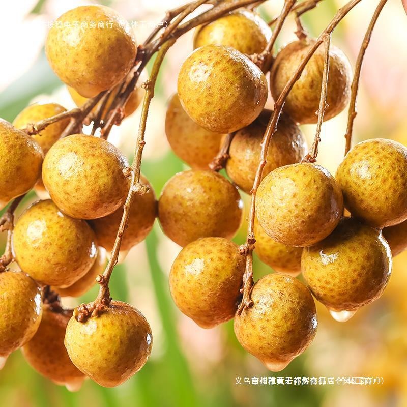 Fresh Imported Thai Longan, Seasonal Fruit, Non-Stone, Large Fruit for Pregnant Women, Free Shipping, Whole Box