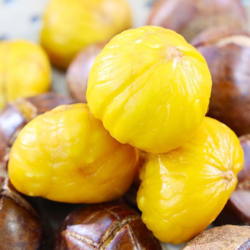 Newly Picked Authentic Fresh Chestnuts from Dandong, Freshly Roasted Large Chestnuts, Seasonal Wholesale