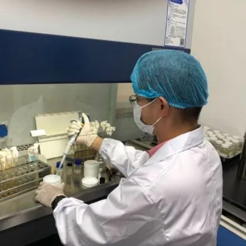 Silicon-Diphosphorus Pentoxide - Manufacturer Directly Supplies Industrial-Grade Analytical Pure Product. Customers Are the Gods, and Satisfaction Is Guaranteed