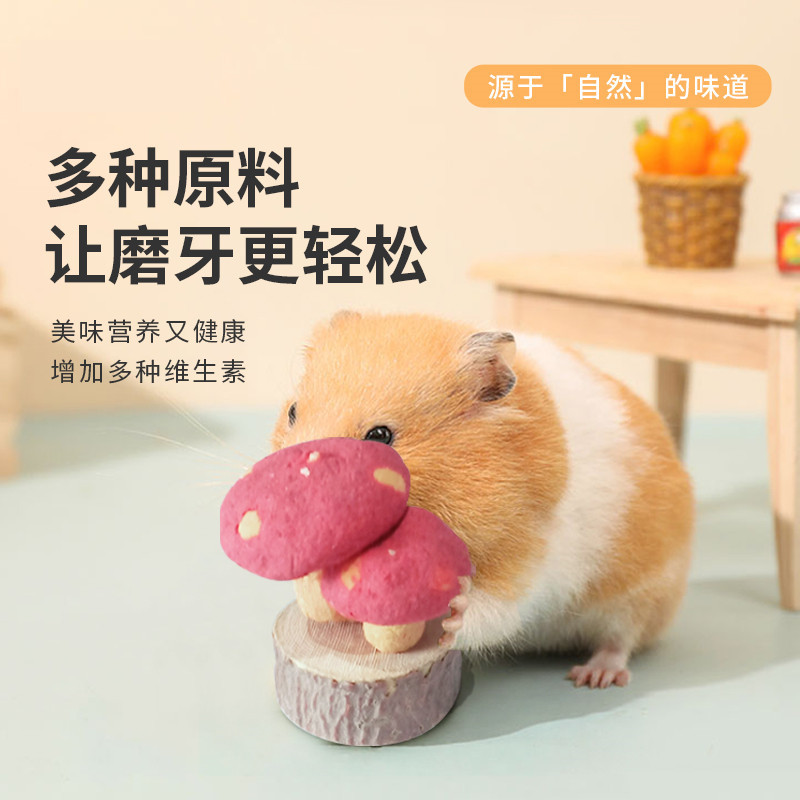 Small Mushroom Rabbit Chinchilla Guinea Pig Hamster Molar Landscaping Snacks