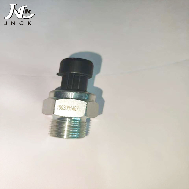 Auto Parts Suitable for Weichai New Oil Plug 1003081467