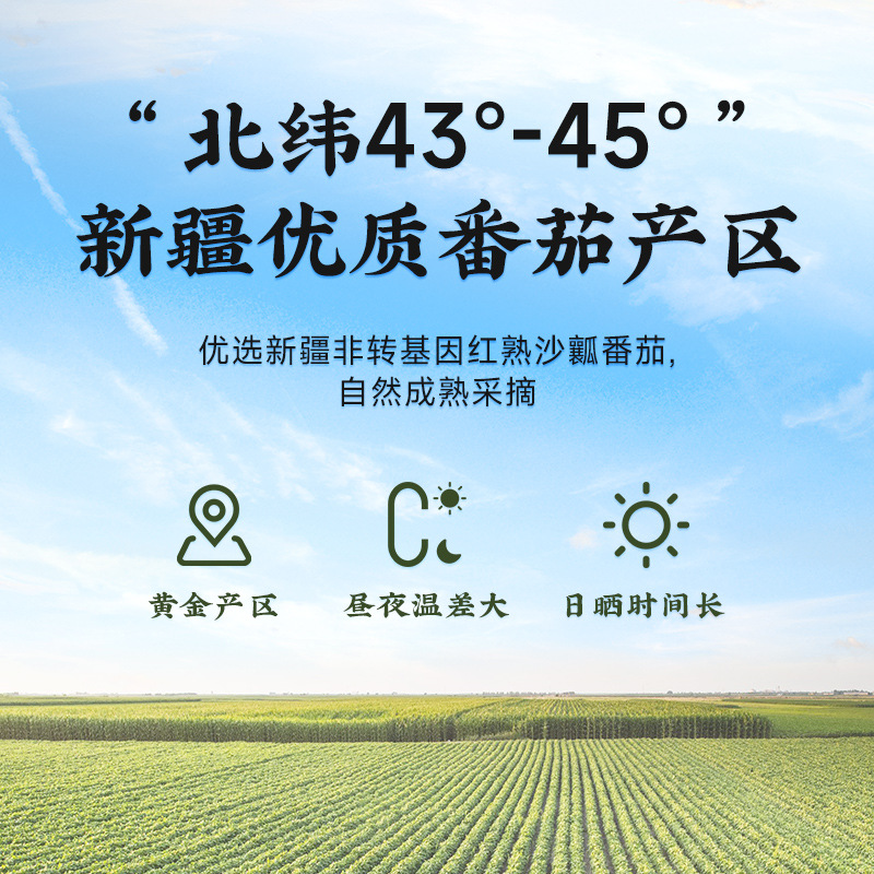 Lotus Tomato Sauce Squeeze Bottle 245g Children's Household Commercial No Add Xinjiang Tomato Sauce Official Flagship Store