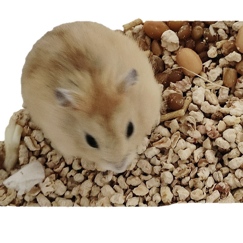 Long-Haired Tiger-Striped Bear Hamster Live Pet Suitable for Children to Raise Small Animals Hamster Live Hamster Wholesale