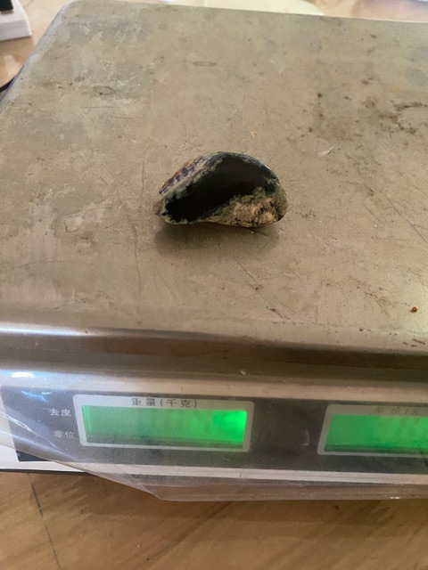 Burmese Jadeite, First-Hand Supply of Raw Graphite Jade Ring Surface Brand Material