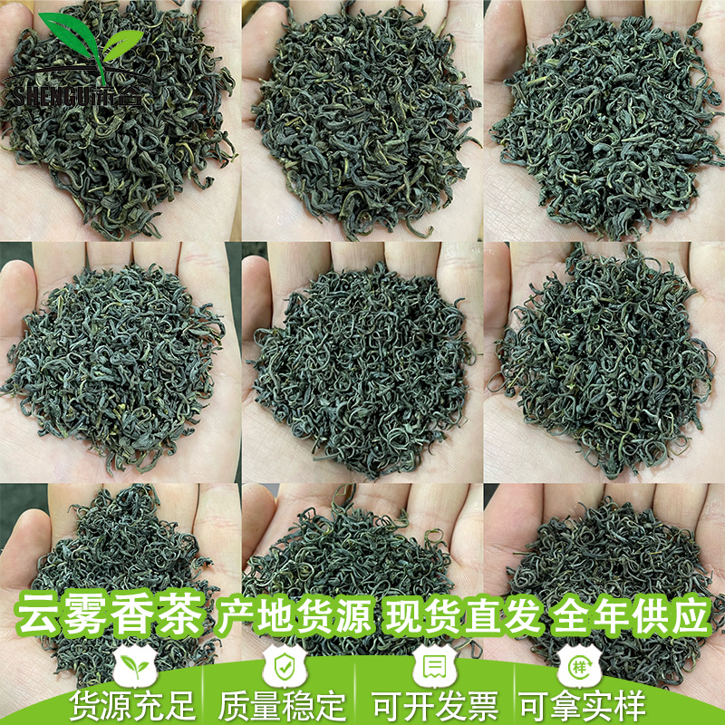 Шенгу Рицзао альпийский облачный зеленый чай оптовый рынок 2025 новый чай