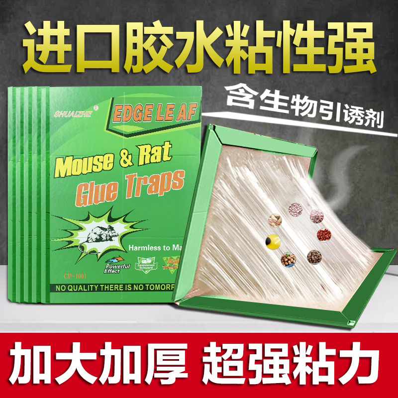 Cross-border foreign trade english version mouse sticky board super strong mouse sticker full Box 100 pieces factory wholesale household mouse board