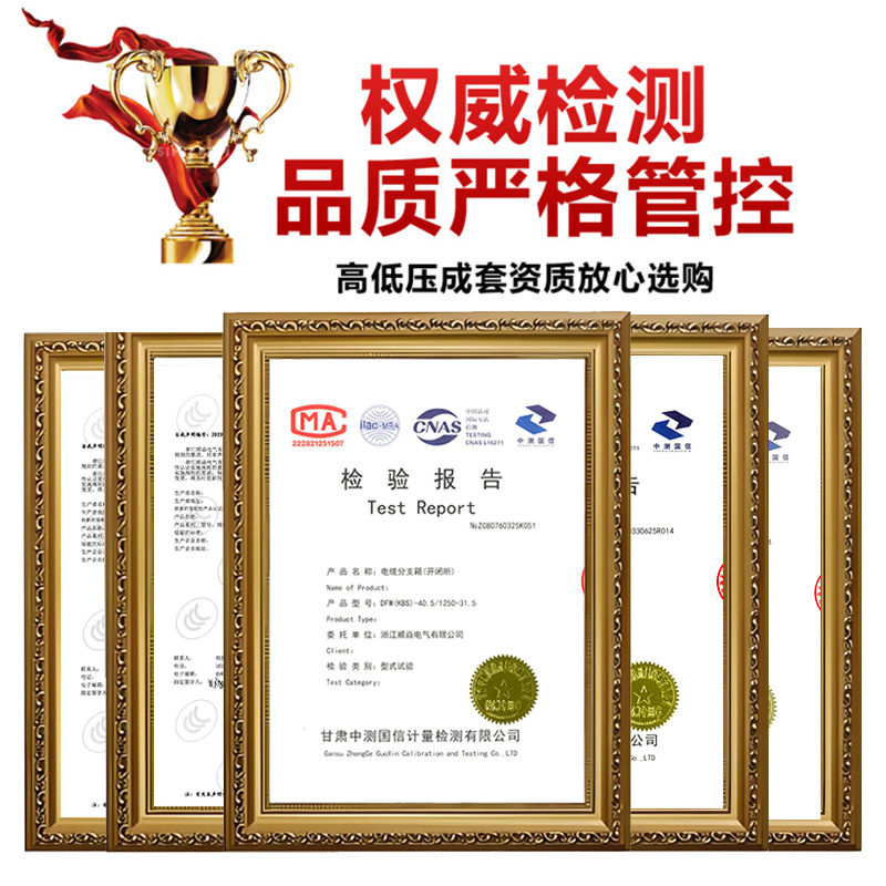 10Kv-35Kv Outdoor High-Voltage Cable Branch Box One in Two Three Four Five Six Out European Stainless Steel Docking Box