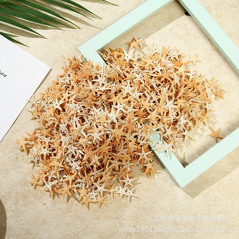 Hot sale natural starfish shell large conch micro landscape decoration hanging decoration photo frame candle crafts