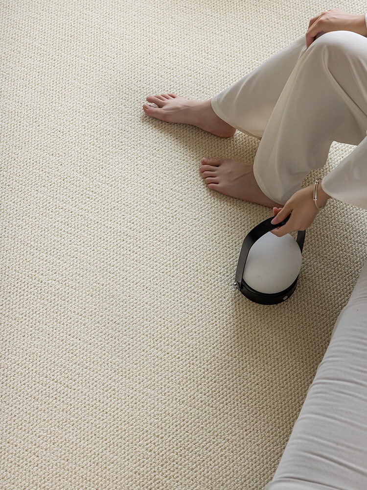 Imitation Sisal Carpet for Bedroom and Living Room, Anti-Cat Scratch Studio Bedside Carpet, Simple Rental Bay Window Photo Cream Style