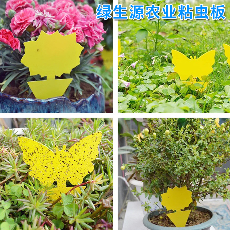 Sticky insect board Trap board double-sided yellow board Amazon stained insect board butterfly flower shaped flower shaped waterproof green plant potted plant