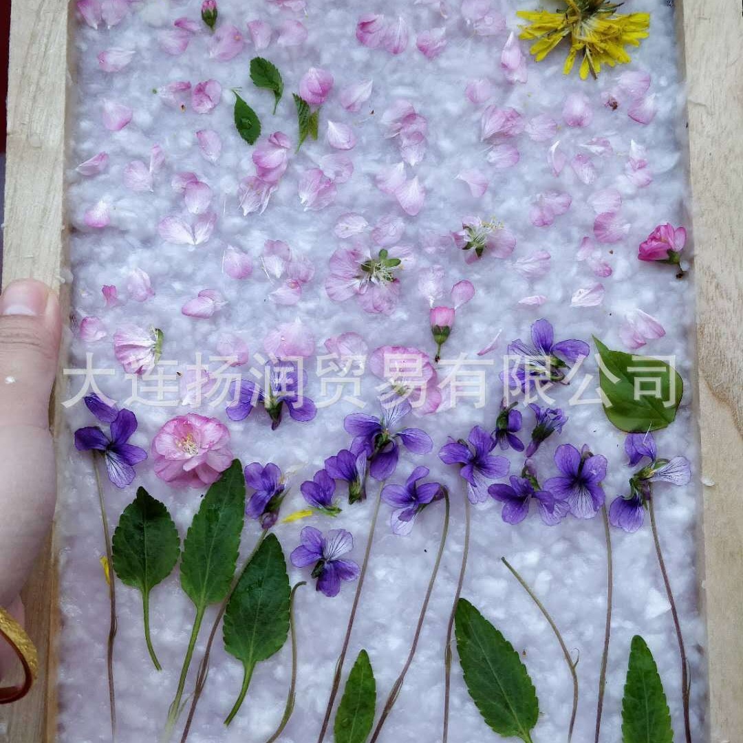 Children's manual class paper pulp painting native wood pulp dry pulp pulp sheet wood pulp paper making 10 × 10 single piece
