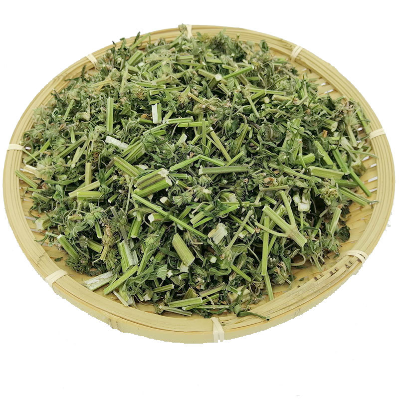 Selected Wild Motherwort Fresh Sun-Dried Menstrual Aunt Tea Dried Herbs 500g Free Shipping L