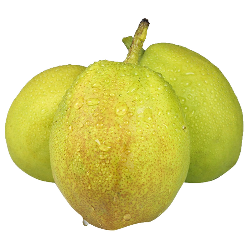 Wholesale Xinjiang Korla Fragrant Pears, Fresh Seasonal Fruit for Pregnant Women, Large Mother Pears, Fresh Whole Box, 4.5kg Direct from Origin