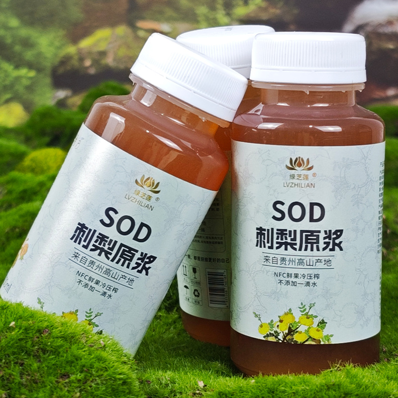 Customized Oem Bottled Prickly Pear Puree, Guizhou Original Juice Liquid, Small Single Private Label 200ml Pp Bottle, Original Flavor