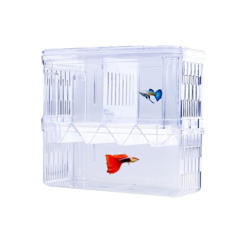 Guppy Breeding Box Fish Tank Acrylic Isolation Box Extra Large Spawning Hatching Delivery Room Small Fry Young Size Fish