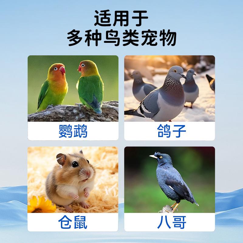 Pet Electrolytic Multidimensional Parrot Hamster Electrolyte Supplement Vitamin Universal Electrolytic Multidimensional Factory Wholesale
