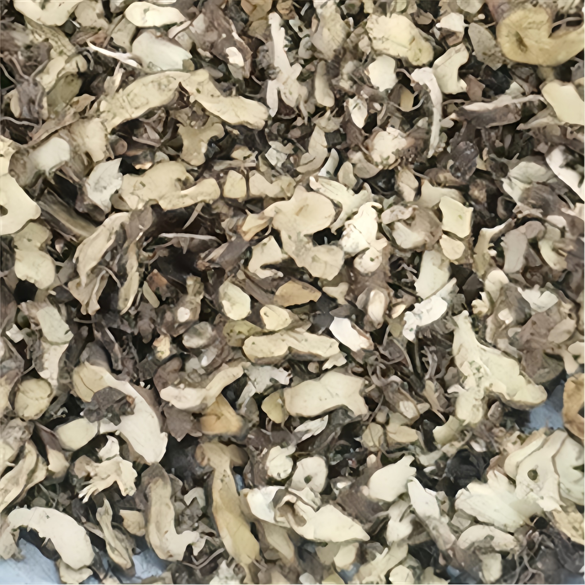 Xianlingpi Sulfur-Free Chinese Herbal Medicine Bulk Wholesale Epimedium Root Oem Grinding Powder Soaked Wine Ingredients One Piece Drop Shipping Xianlingpi