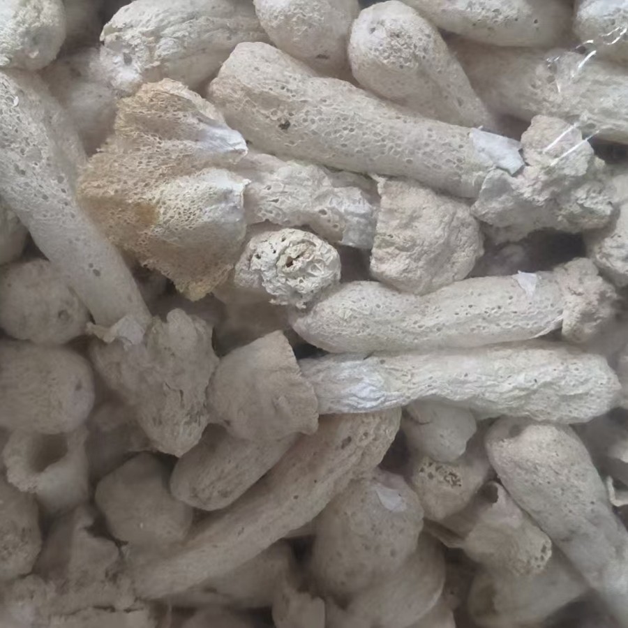 New Seasonal Bamboo Fungus Dried Goods for Soup Ingredients, Fujian Specialty Bamboo Fungus Dried Goods, Long Skirt Bamboo Fungus Edible Mushrooms