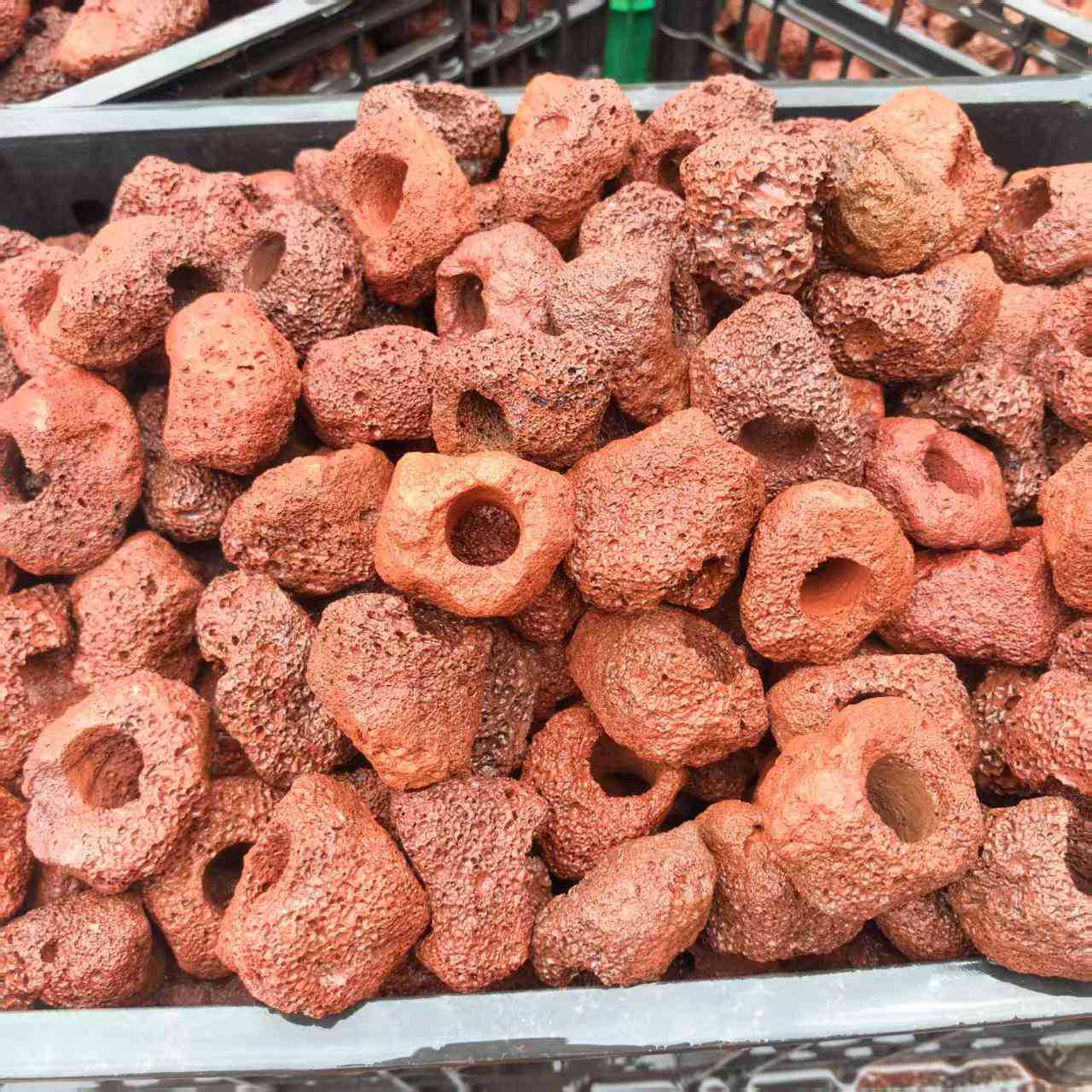 Volcanic Stone Planting Rings, Direct from the Manufacturer, for Fixing Aquatic Plants, Landscaping Stones, and Decorative Perforated Fish Tank Decorations