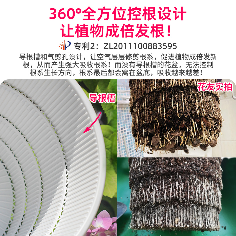 Large Monstera Plant Pot with Root Control, Breathable Resin Plastic, Nordic Simple Style, Keeps Golden Small