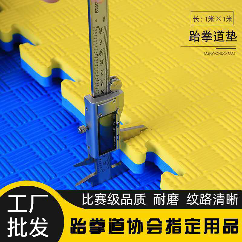Taekwondo Splicing Mat Fitness Foam Mat Sports Dance Wushu Sanda Mat 1 m * 1 m