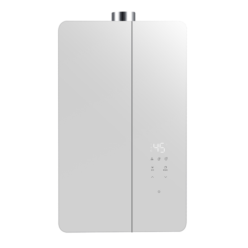 Factory Direct Sales Household Gas Water Heater Silent Constant Temperature 16 Liters Natural Gas Constant Temperature Variable Frequency Bath Strong Exhaust National Standard