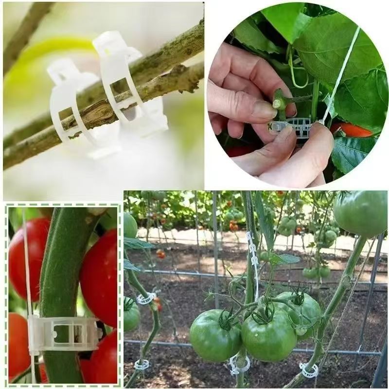 Vine Plant Fixing Clip Binding Vegetable Artifact Vine Clip Greenhouse Vegetable and Fruit Tree Fixer Fruit Green Plant Hanging Vine Clip