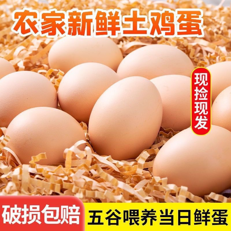 Farm-Raised Free-Range Eggs, Fresh Mixed Grain Eggs with Cordyceps, Nutritious Confinement Eggs, Free-Range Eggs