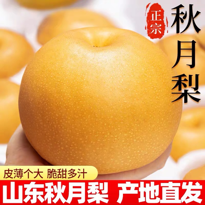 Груши Наньшуй Шаньдун, только что собранные сезонные фрукты, напрямую из места происхождения, специальность Яньтай крупные фрукты, хрустящие, сладкие и сочные груши 5