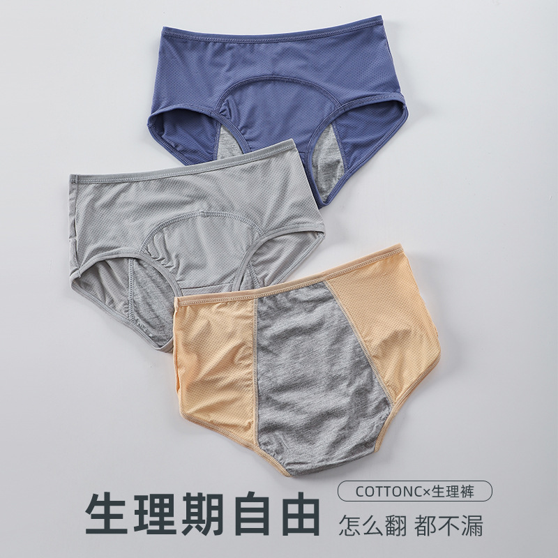 Foreign trade cross-border plus size 10 yards mesh breathable menstrual period before and after leak-proof physiological pants high waist women's underwear European and American