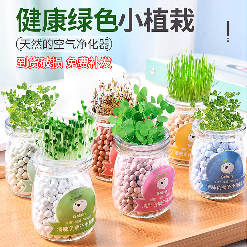 Гидропонные горшечные растения, креативные растения с отрицательными ионами, офисный стол, маленькие бонсай, радиационно-защитные мини-растения