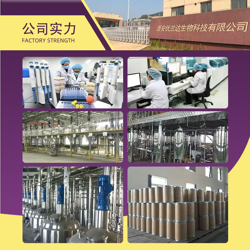 Dimethyl Sulfone 99% Methyl Sulfonochloride Msm Food Grade Nutritional Fortifier Youlanda Spot Supply