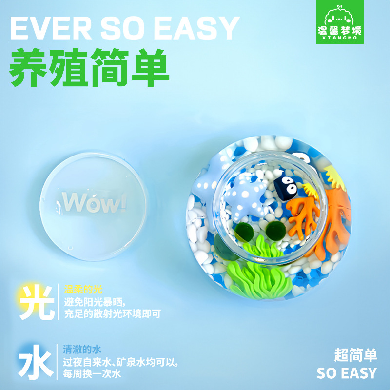 Marimo Seaweed Ball City Island Micro Landscape Ecological Bottle Office Hydroponic Plant Chlorella Nutrient Solution