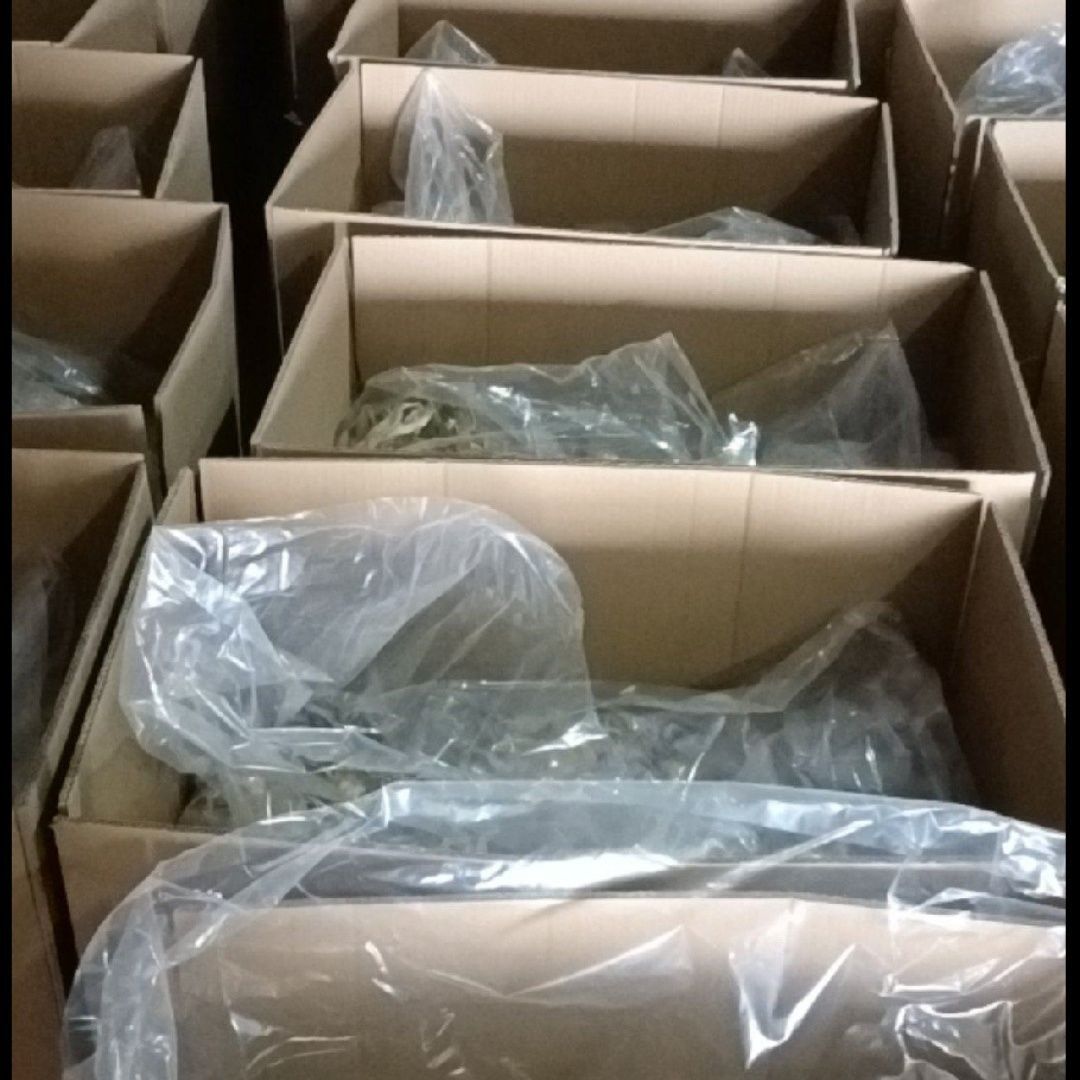 Fresh Dried Oyster Mushrooms, Mushroom Slices, Dried Mushrooms, Dried Farm Commercial Phoenix Tail Mushrooms, Dried Edible Mushrooms for Soup