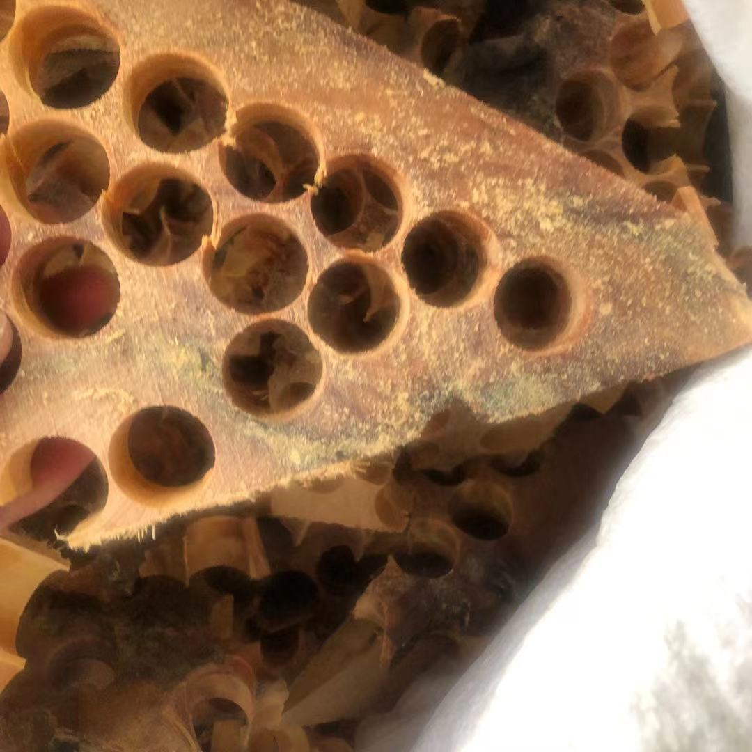 Taihang yabei Wood corner material old material powder smell spice beading beads corner wood log corner material weighing Jin