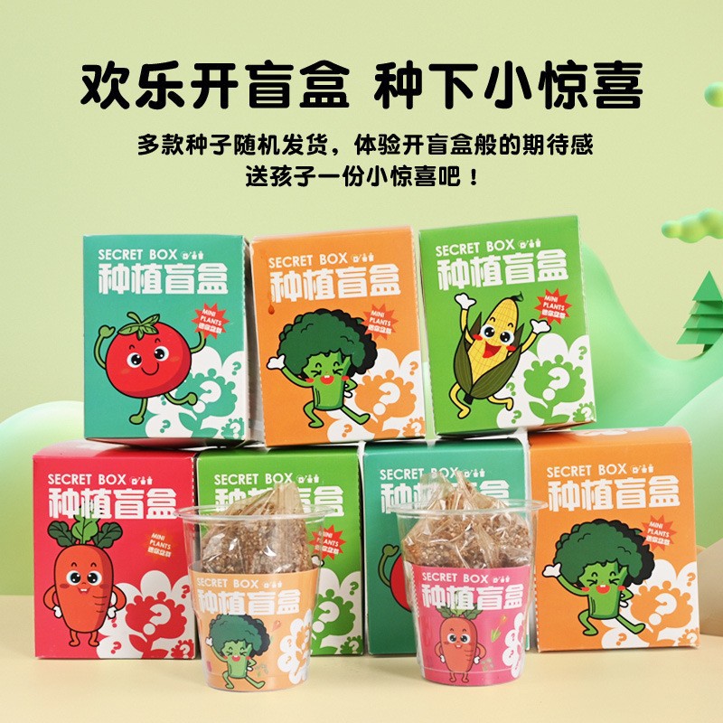 Kindergarten Planting Potted Blind Box Children Plant Flower Seed Small Gift Creative Desktop Ornaments Small Potted Plant