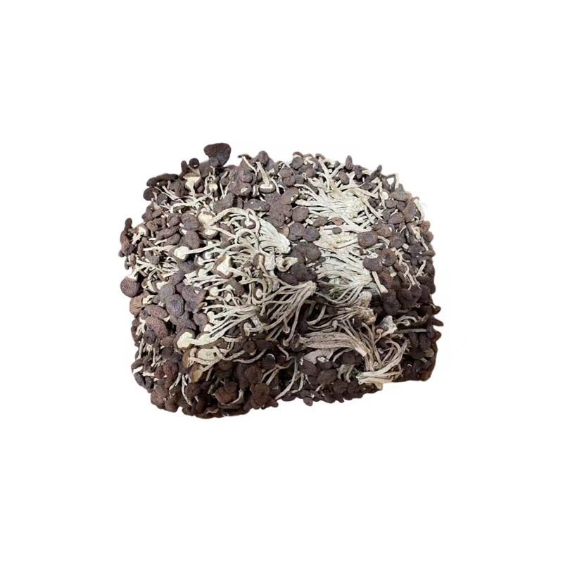 New Tea Tree Mushroom Dry Goods Without Opening the Umbrella Bulk Wholesale 500g New Mushroom Factory Direct Supply from the Place of Origin Direct Sales