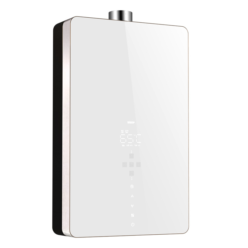 Wholesale Natural Gas Water Heater for Home Use, Constant Temperature Forced Exhaust Type, Liquefied Gas Balanced Type, 16L Zero Cold Water