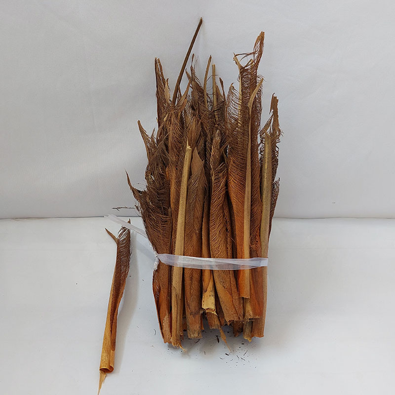 Real Tree Bark Brown Shell Artificial Green Plant Accessories Areca Palm Decorative Materials Dry Tree Bark Brown Indoor Decoration