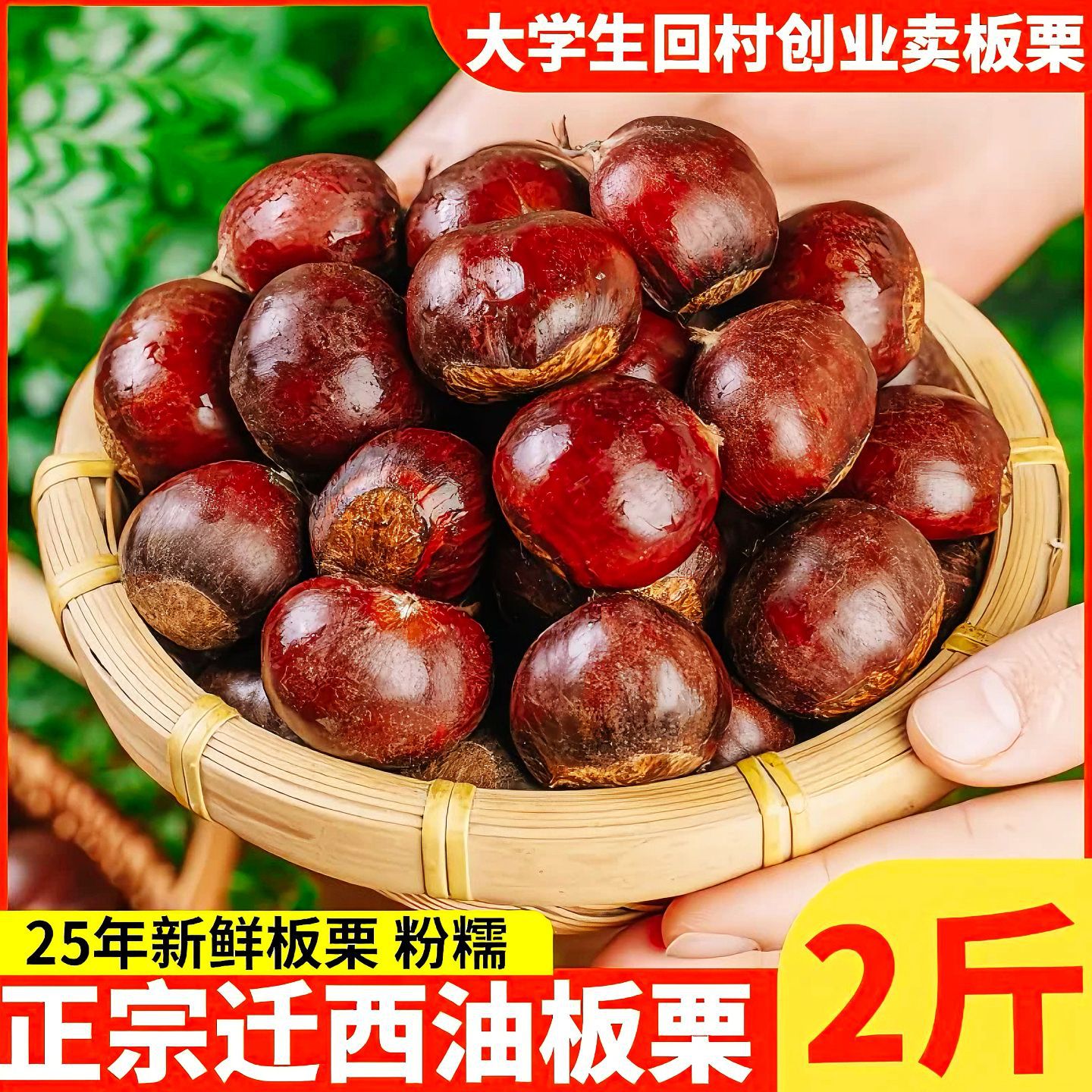 Аутентичные каштаны Цяньси из Хэбэя, свежие оптовые 5кг, сезонные овощи, конусные масляные каштаны напрямую с места происхождения